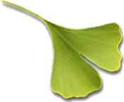Logo Dr. Herbert Sailer
